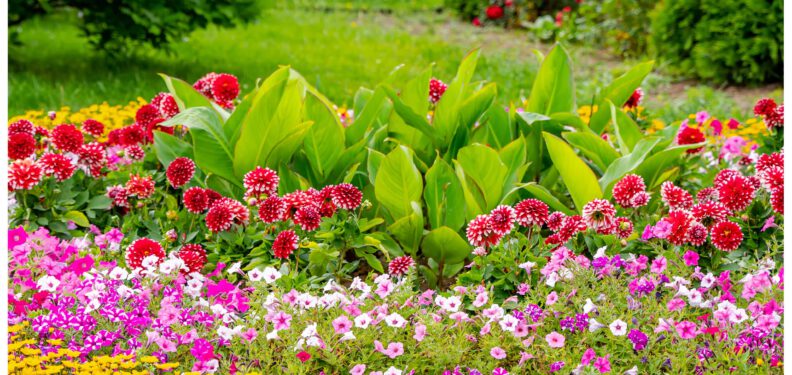 Garten-Neuanlage & -pflege